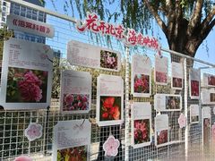 -元大都城垣遗址公园