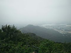 -紫金山索道-售票处