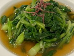 -圆苑(金茂店)