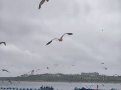 -海驴岛(荣成市)