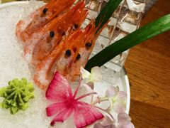 -酒井酱子·深夜食堂(东城汇店)