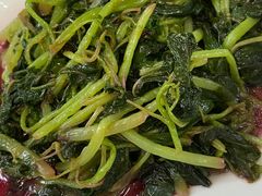 清炒苋菜-天香楼
