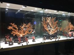 -绮丽珊瑚博物馆(台东店)