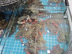 -渔码头食府(蓬莱阁店)