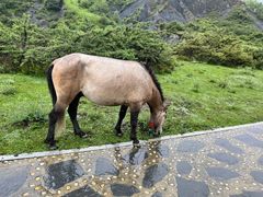 -墨石公园景区