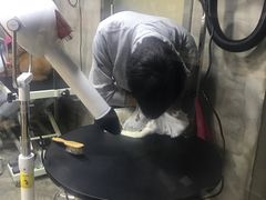 -PETKIT小佩宠物(昭化店)
