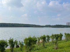 -丁香湖公园