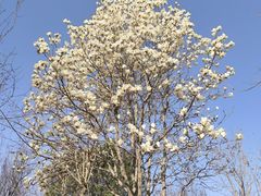 -中华石雕艺术园