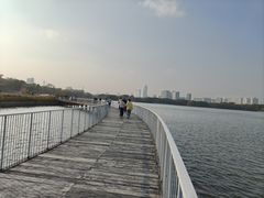 -海珠湖公园