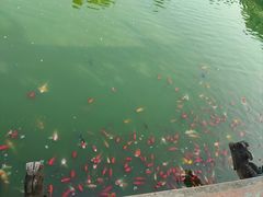 -茂陵博物馆