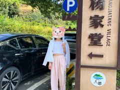 -杨家堂村