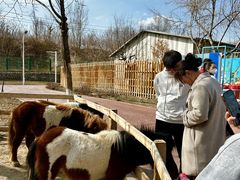 -水上乐园·欢乐世界