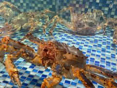 -顺德了能馆(虎门店)