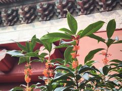 -北京市劳动人民文化宫(太庙)