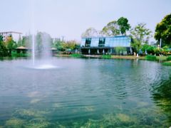 -成飞公园