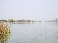 -金银湖国家城市湿地公园
