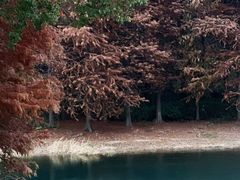 -长广溪湿地公园