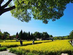 -北坞公园