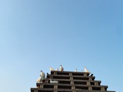 -祥源·阜阳生态乐园