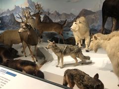 -陕西自然博物馆