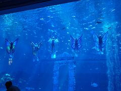 -南昌融创海世界