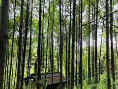 -凤栖山