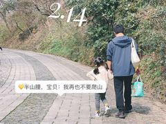 -紫金山天文台