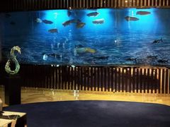 -诺莱仕游艇会