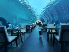 -涛·海底餐厅·美人鱼·自助餐·海底隧道(三亚海棠湾洲际度假酒店)