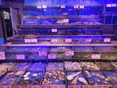 海鲜池-青蓬蒸汽海鲜·深圳老字号·团建聚会(壹方城店)