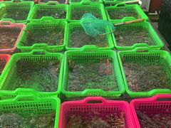 -众味海鲜大排档·活海鲜·潮汕味(南澳店)