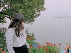 -湖畔居茶楼(湖滨店)