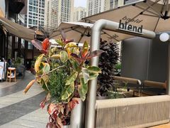 -blend咖啡部落(卓悦中心店)