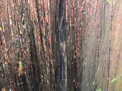 -上海外滩星空失恋减压馆(外滩旗舰馆)