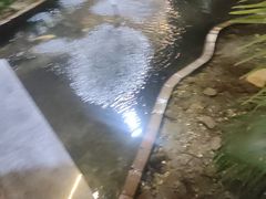 -忆江南·生态餐饮宴会酒店