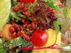 -紫光园·烤鸭·北京菜(劲松店)