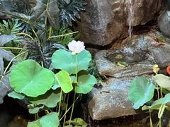 -汇景花园酒家(基立下道店)