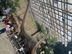 -国家自然博物馆