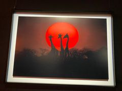 -罗红摄影艺术馆