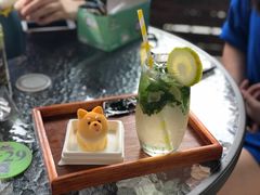 柴犬蛋糕-柴犬高等学院·狗咖·柴犬售卖·宠物训练