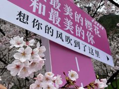 -高岚大峡谷旅游度假区