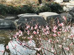 -鹦鹉寺公园