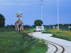 -杭州湾海上花田景区