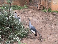 -昆明动物园