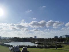 -春花秋色城市公园