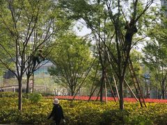 -云锦路(地铁站)