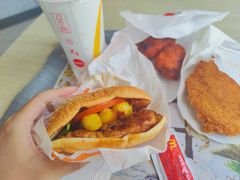 -麦当劳(塔园路店)