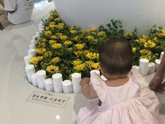 -棕榈MALL