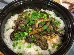 -石岐乳鸽村(南海第三分店)