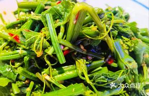 Crispy Chayote Sprouts
